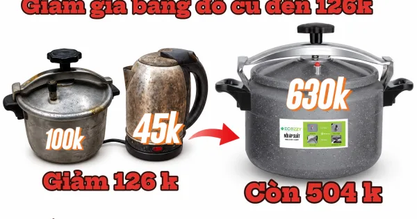 Đồ bếp cũ tái chế thành gì? 7 ý tưởng tái sử dụng hay